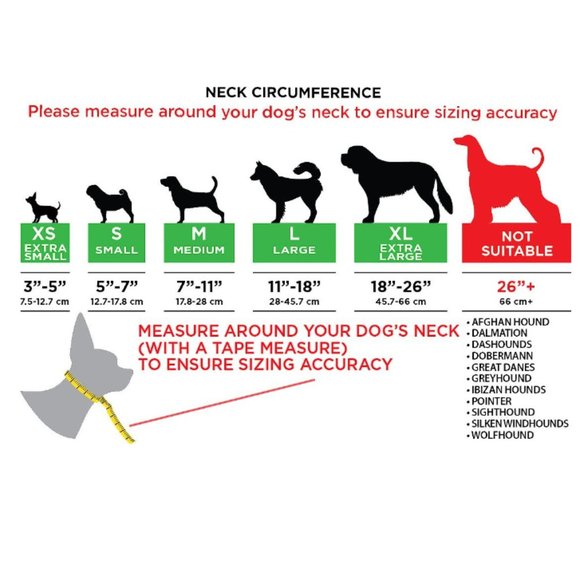 Katoggy Pets Inflatable Recovery Dog Collar - Picture 9 of 10